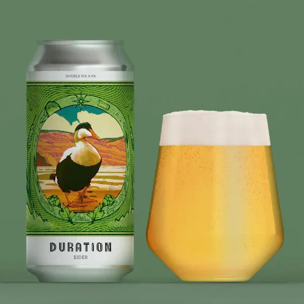 Eider drink image