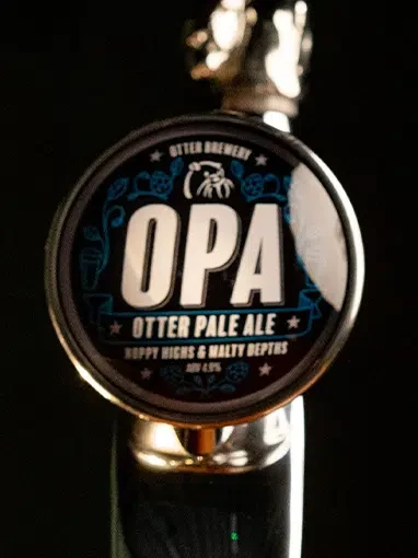 Otter Pale Ale drink image
